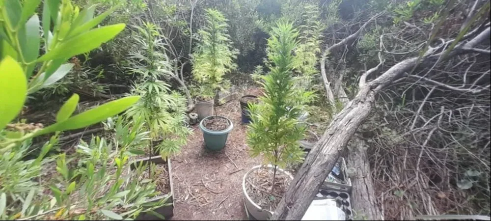 Allanamiento en la casa de Natalia