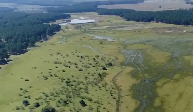 Fracción de campo de 358 ha será rematada en Tacuarembó