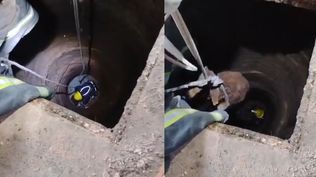 Bomberos de Salto rescataron a un perro que quedó atrapado en un desagüe de 20 metros de profundidad