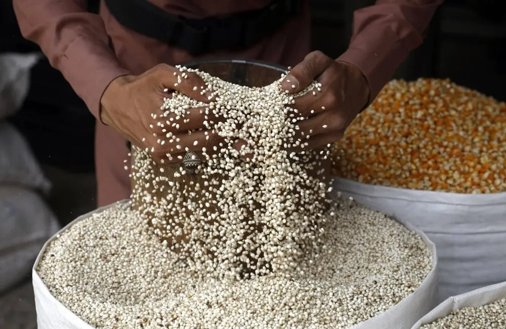 Pese al récord en la producción de trigo, millones pasan hambre en el mundo