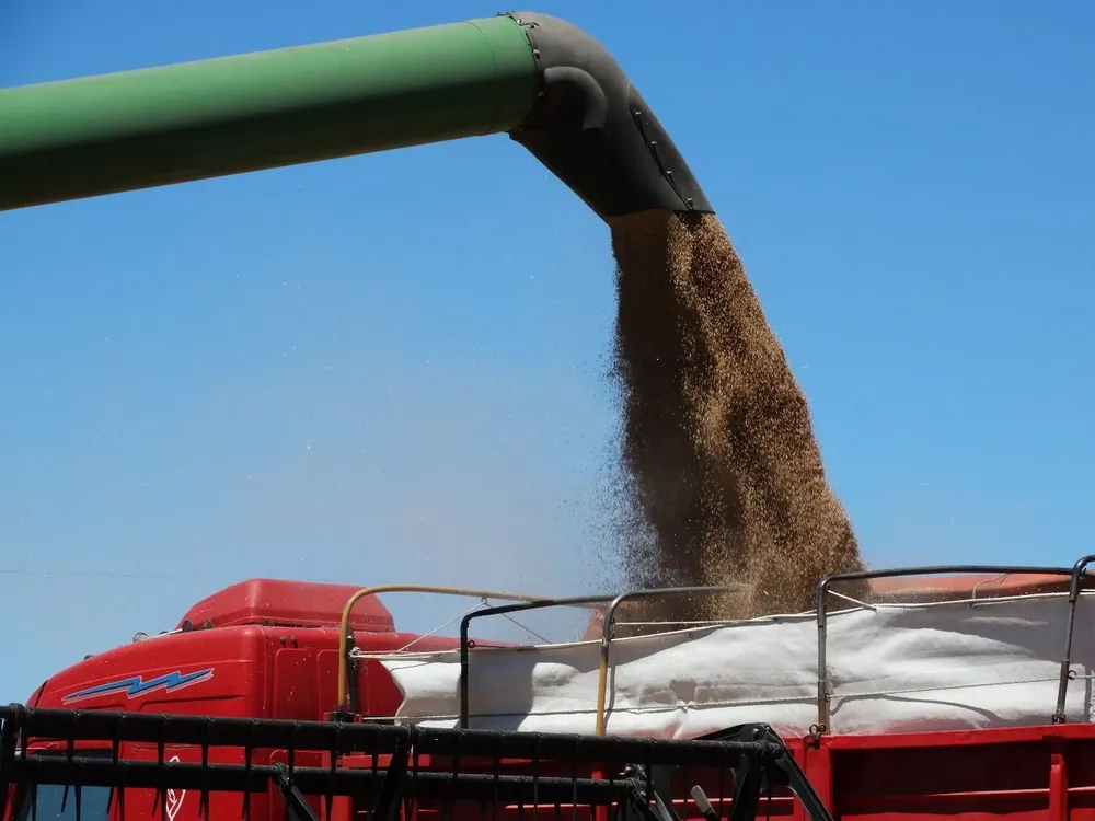 Las exportaciones de trigo se ubicaron en U$S 21 millones, siendo esta cifra más del doble de lo exportado en febrero de 2020.