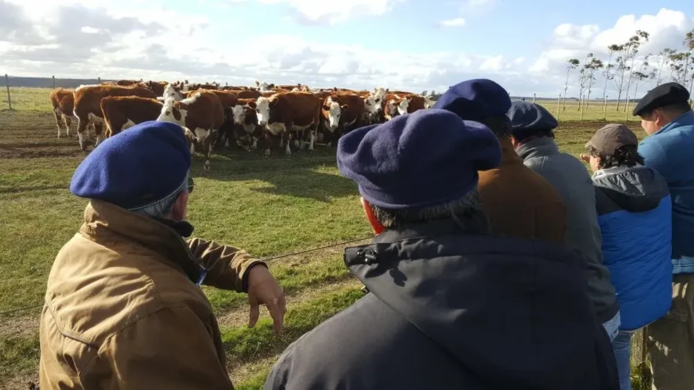 La actividad se realizará en el establecimiento Don Poro, de la familia Campiotti.