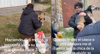 El momento en el que fue hallado el perro fue captado por el chofer de la moto.