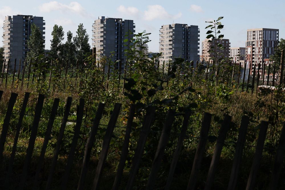 El mecanismo tiene un impacto relevante en zonas urbanas y degradadas.