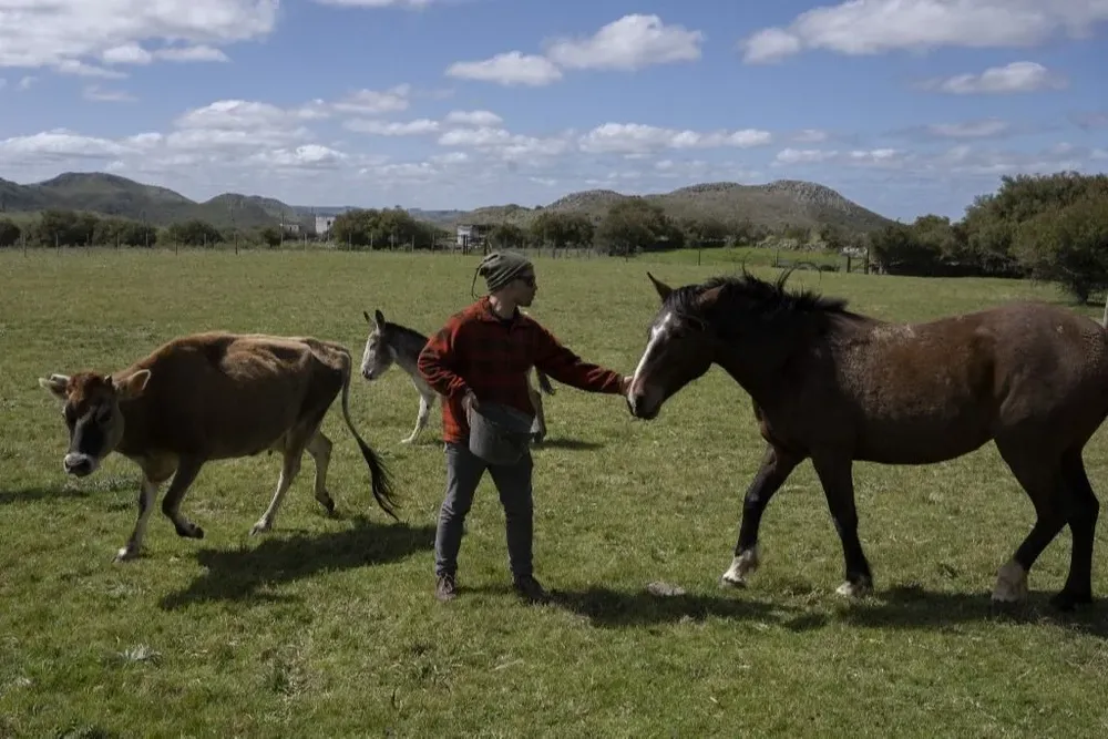Juan Pablo Pío en el predio en Pan de Azúcar junto a uno de los caballos rescatados.