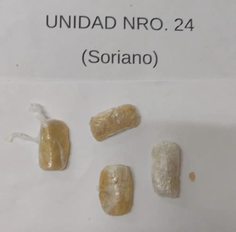 La droga que pretendió ingresar la maestra