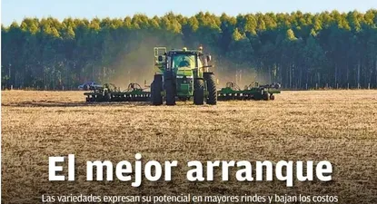 Cultivos de invierno: las variedades expresan su potencial en mayores rindes y bajan los costos