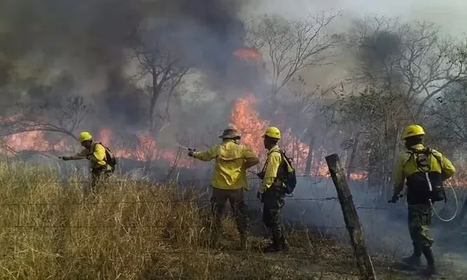 Los incendios forestales en el oriente boliviano incrementan la ola de calor y la saturación atmosférica con humo.