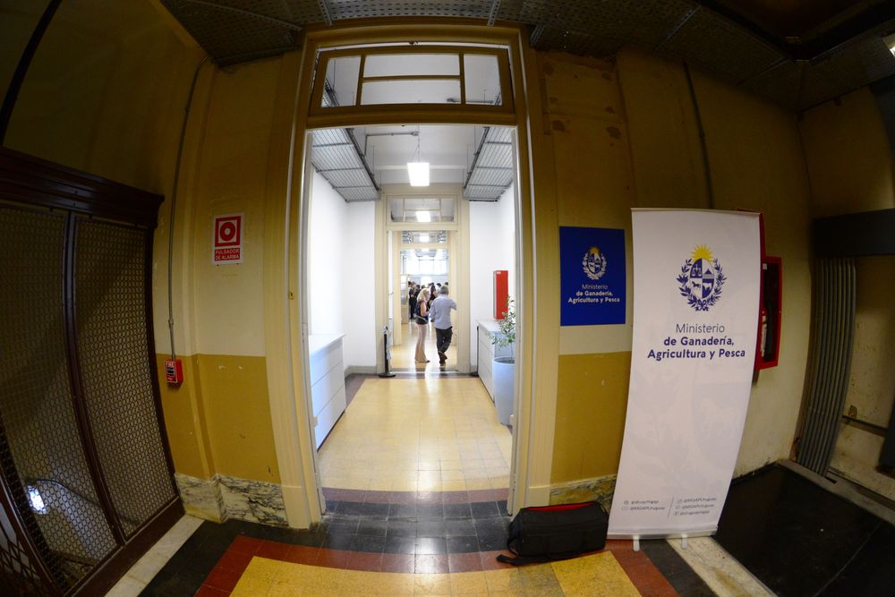 Las nuevas oficinas del MGAP.