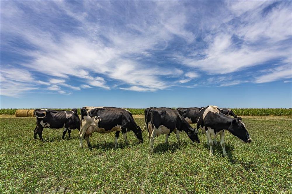 conaprole conahorro.jpg