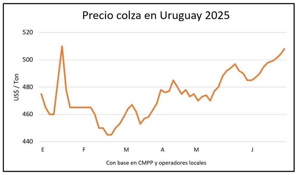Mercado de granos: precios de la soja en ascenso.