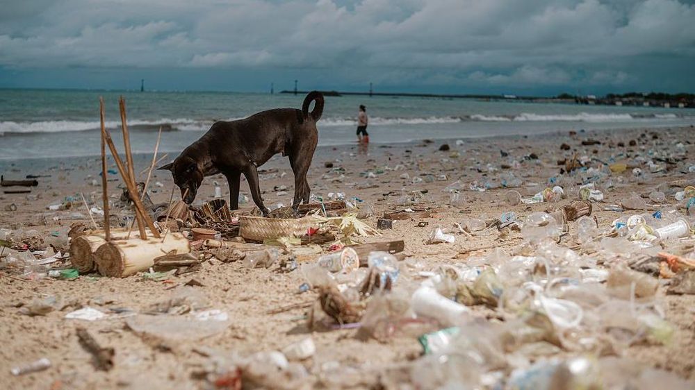 La contaminación por plásticos es un gran problema en algunas playas.