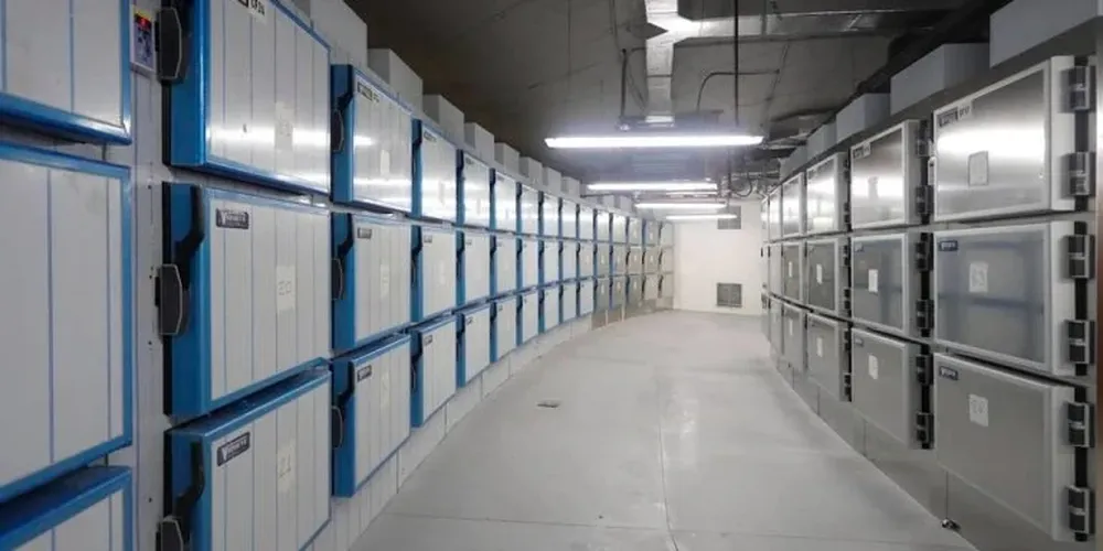 Valencia: desarticulan un entramado criminal que vendía cadáveres.