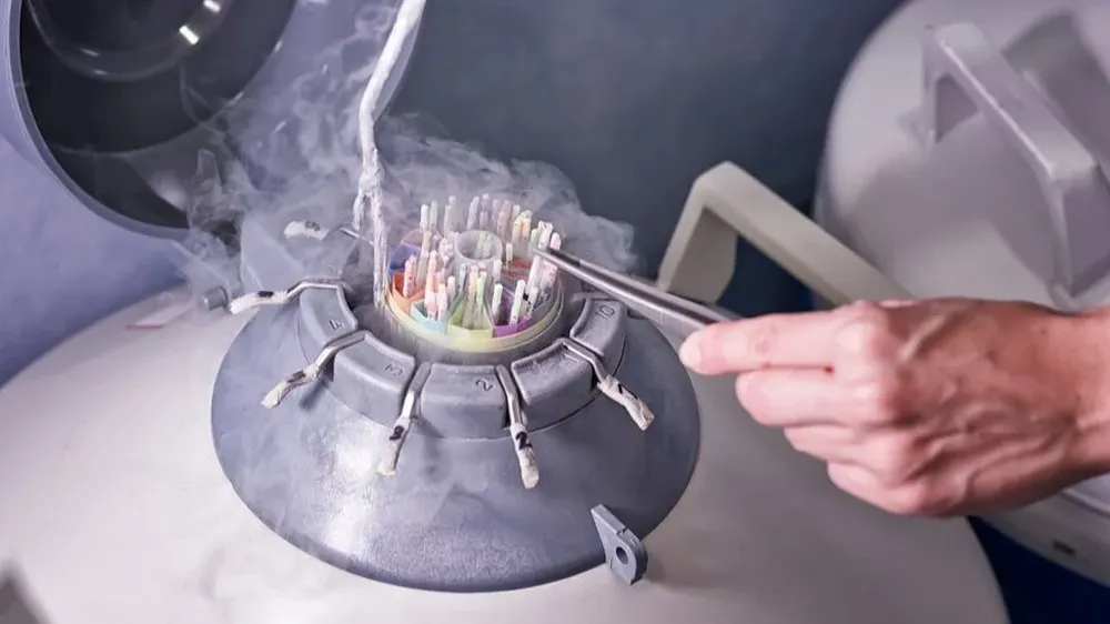 Según las normas de los Países Bajos, un donante no debe engendrar más de 25 niños en 12 familias.