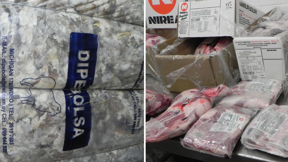 Lana y carne ovina: productos uruguayos mejor valorados por los mercados durante 2025.