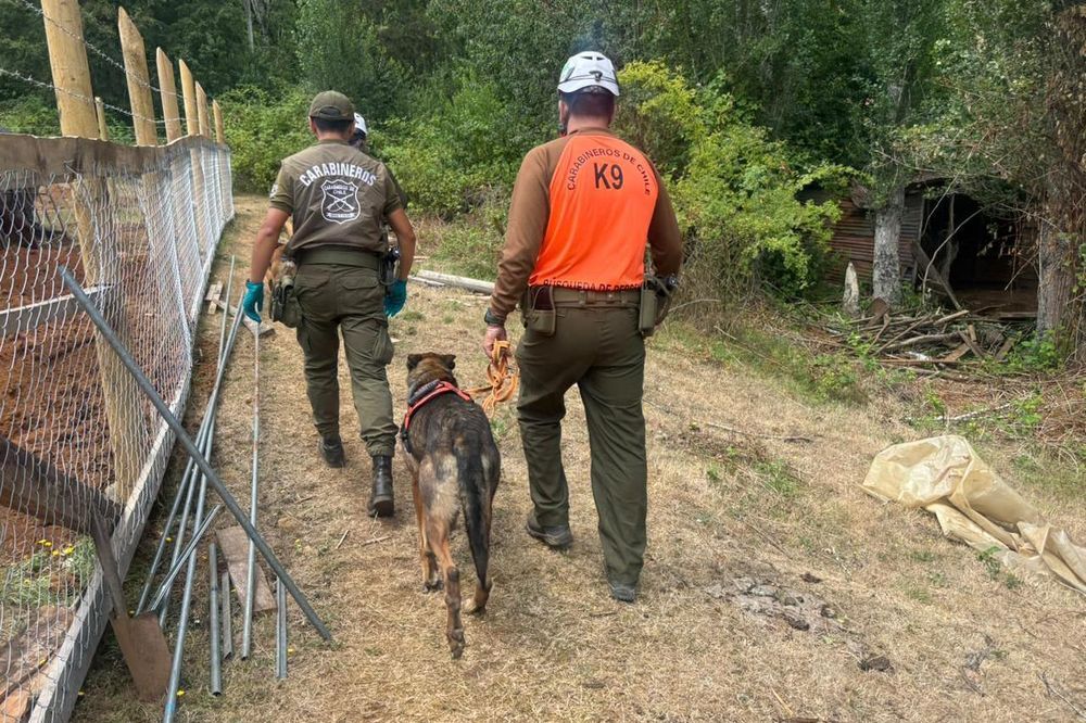 Carabineros de Chile realiza diligencias en búsqueda del cuerpo de Julia Chuñill en el predio rural donde vivía el 15 de enero de 2026.