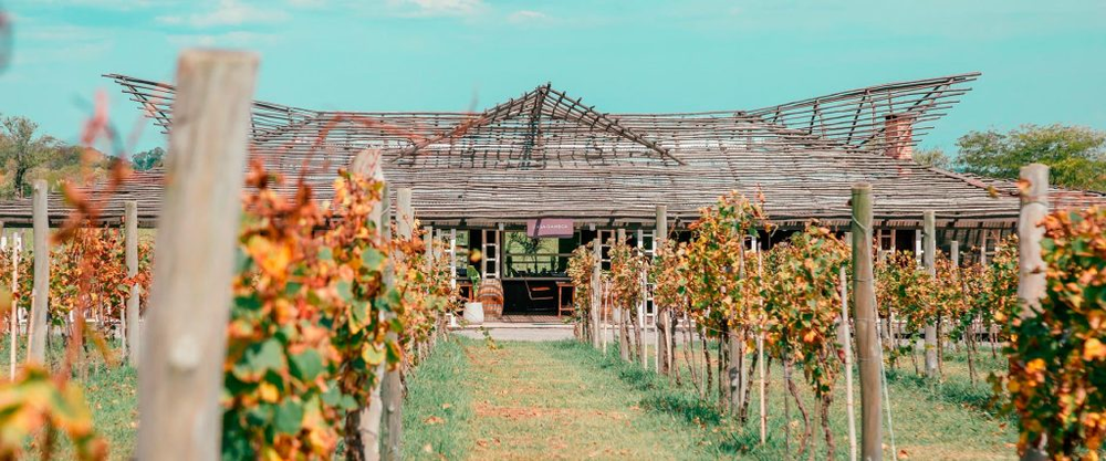 La iniciativa es impulsada por la bodega Gamboa, fundada por Eduardo Tuite