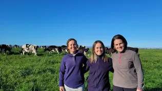 Jimena, Mariángeles y Mariana.
