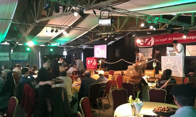 Se fue todo el Corriedale de Elite