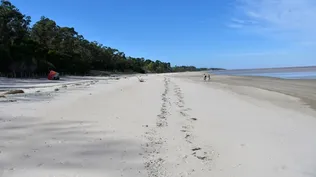 El proyecto Neptuno se instalará en Arazatí en San José