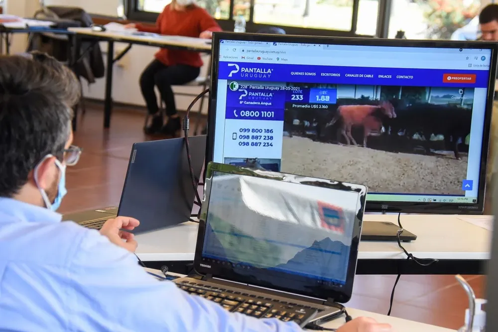 El remate se desarrolló de forma virtual.