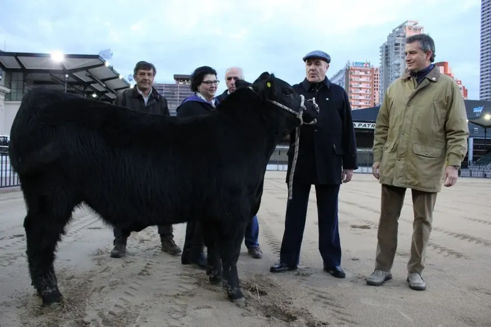 El primer ternero ingresado a Palermo junto a las autoridades de la exoposición argentina