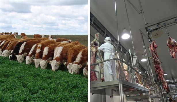 Foro Mercosur de la Carne: elogio al acuerdo entre el Mercosur y la UE.