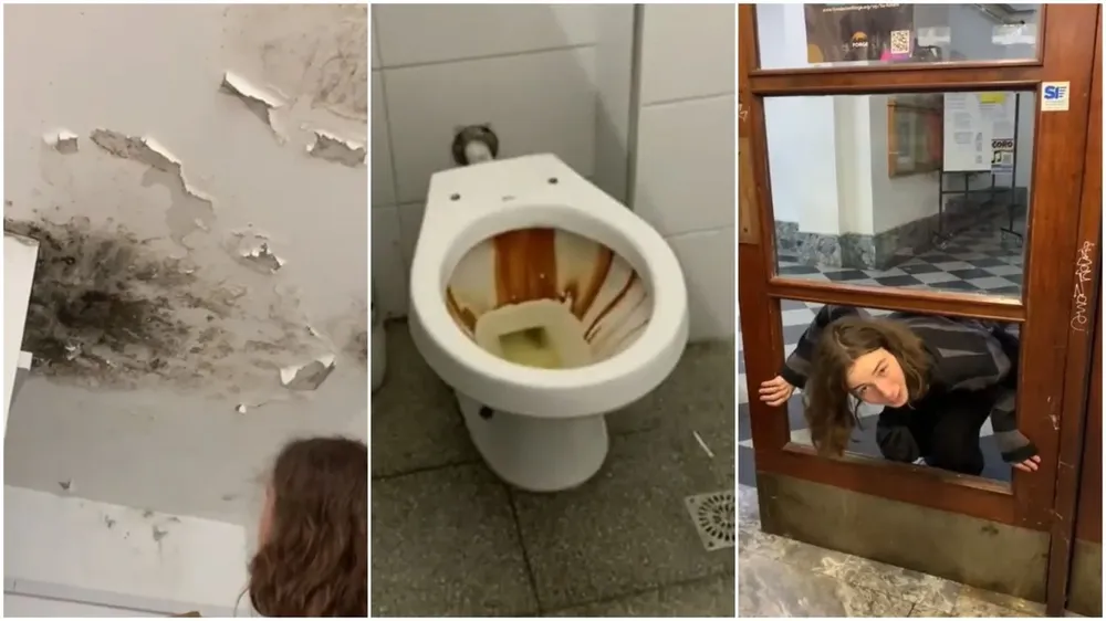 Capturas de pantalla del TikTok del GEZ