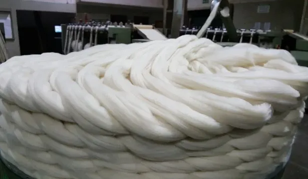 Mercado lanero: una mejora, aunque leve, que viene bien en la ovinocultura local.