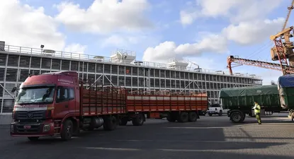 turquia corto la emision de permisos para la importacion de ganado en pie