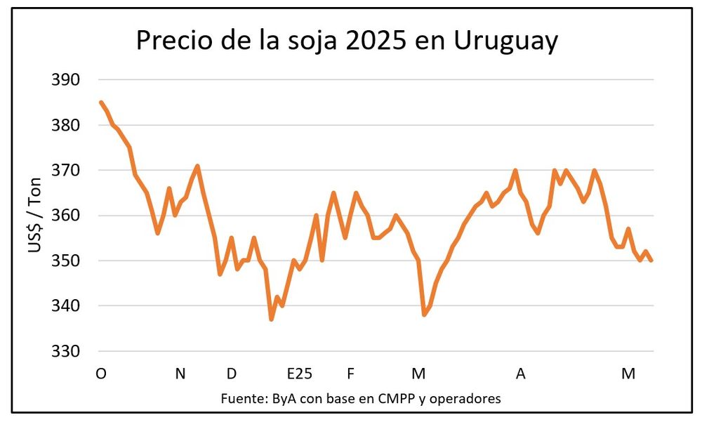 Mercado de granos, Blasina y Asociados.
