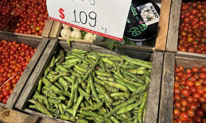 Frutas y verduras de la lista inteligente, con las habas como novedad.