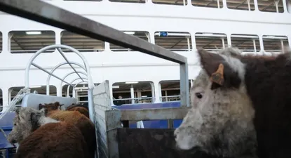 El Observador | 0020084697.webp