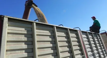 Transportistas mantienen paralizada la carga de arroz