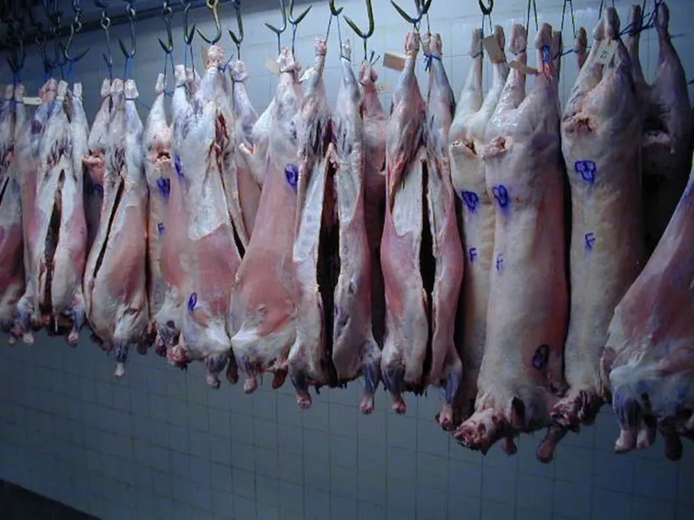 El principal comprador de carne ovina sigue siendo el mercado de Brasil