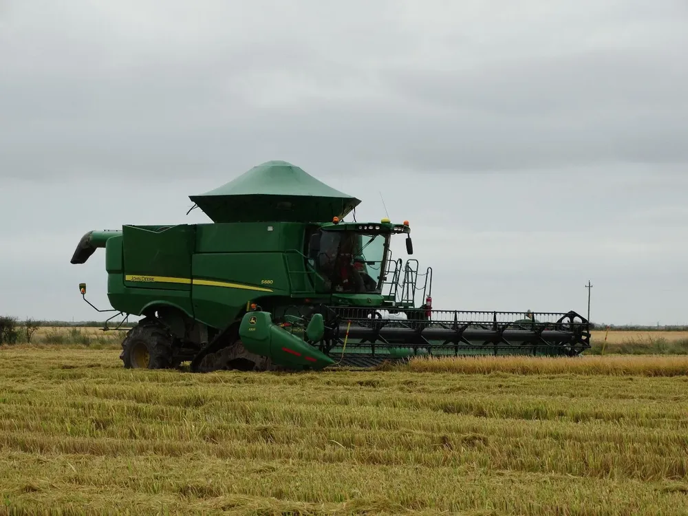 Hubo vientos en Rocha y Treinta y Tres y preocupa el daño a la cosecha arrocera.