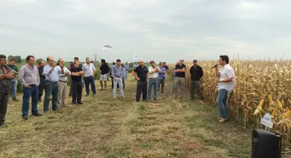 El Observador | 0006130675.webp