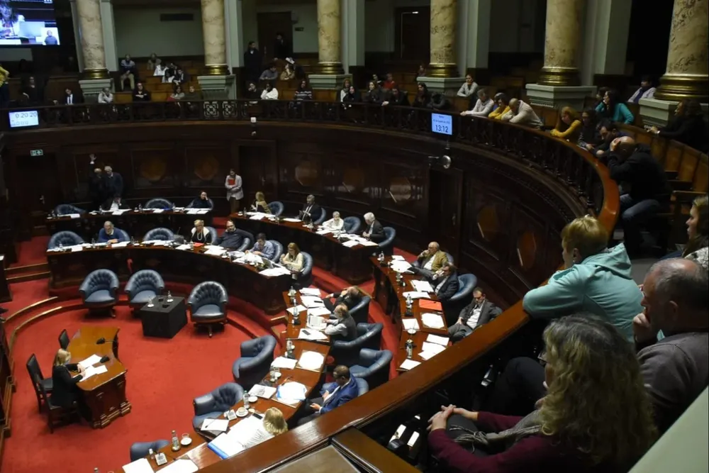 Se vota en el Senado el proyecto de ley de tenencia compartida