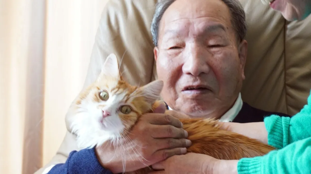 iwao Hakamada, japonés absuelto tras pasar casi medio siglo en el corredor de la muerte