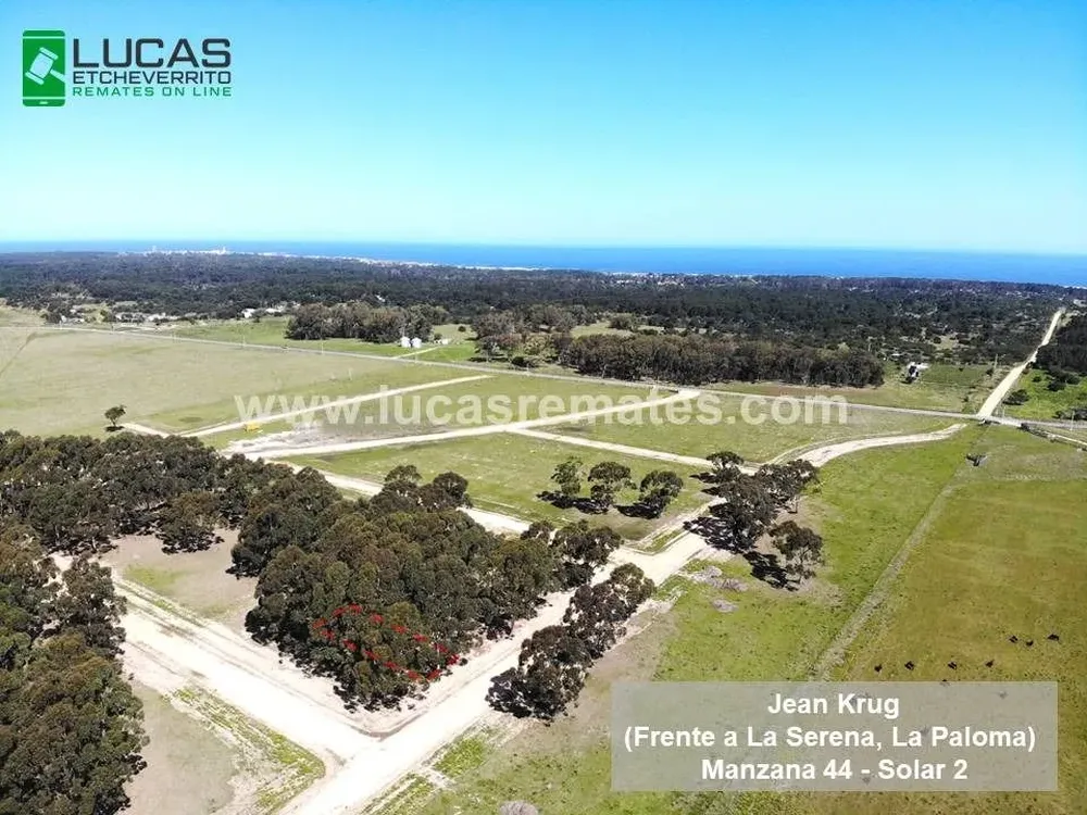 Los mejores terrenos de Rocha.