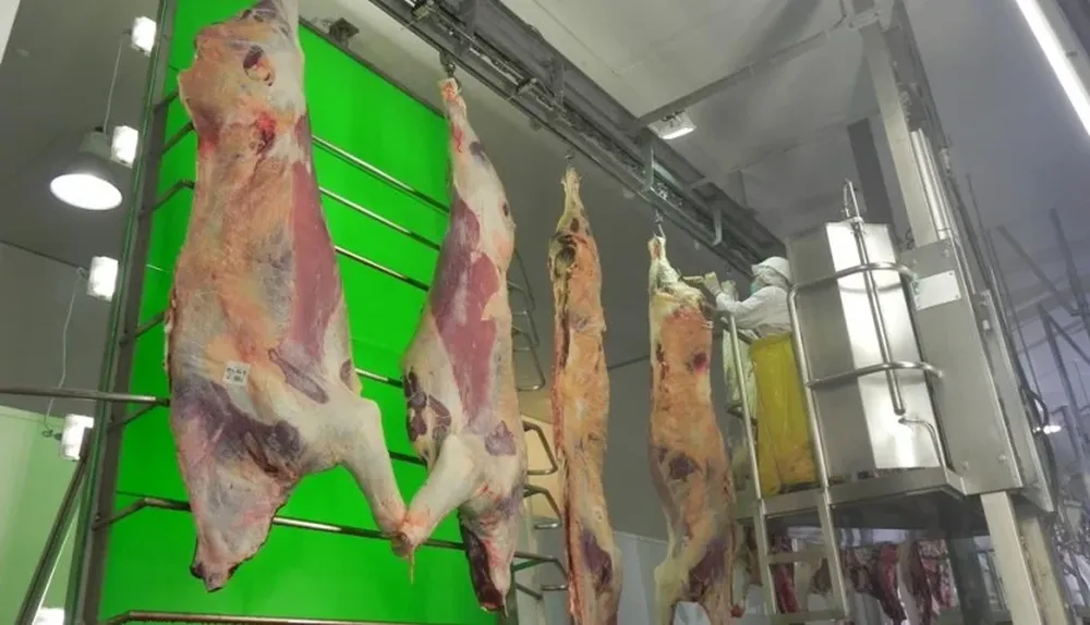 La tonelada de carne bovina exportada promedió US$ 4.036