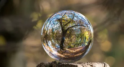 La salud de nuestros ecosistemas depende directamente la salud de nuestro planeta y sus habitantes