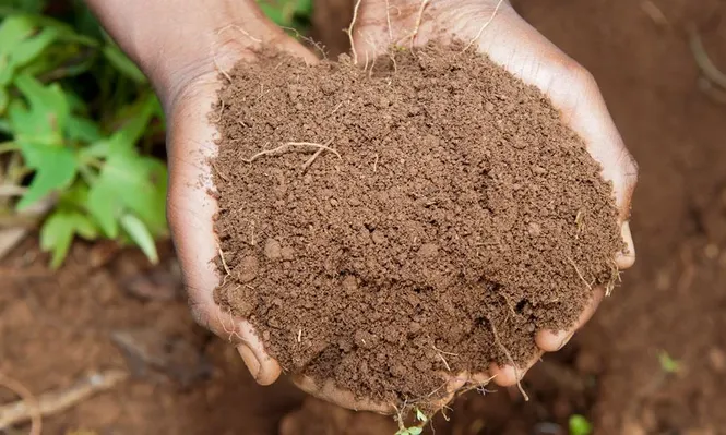 Qué es la pica: el trastorno que hace que algunas personas tengan un antojo irresistible por comer tierra, tiza o hielo