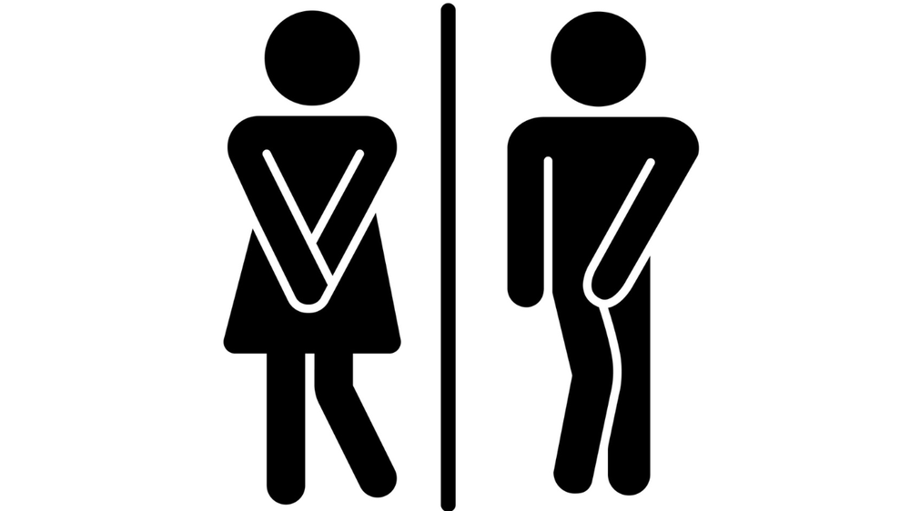 La vejiga de hombres y mujeres pueden contener, cómodamente, entre 400 y 600 mililitros de orina.