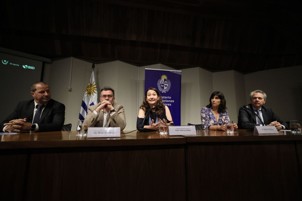 Marcelo Bascialla, Matías Carámbula, Valeria Csukasi, Mariana Ferreira y Luiz Ros.&nbsp;