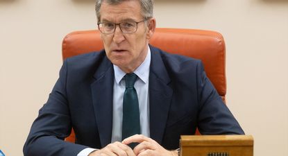 El líder del PP, Alberto Núñez Feijóo.
