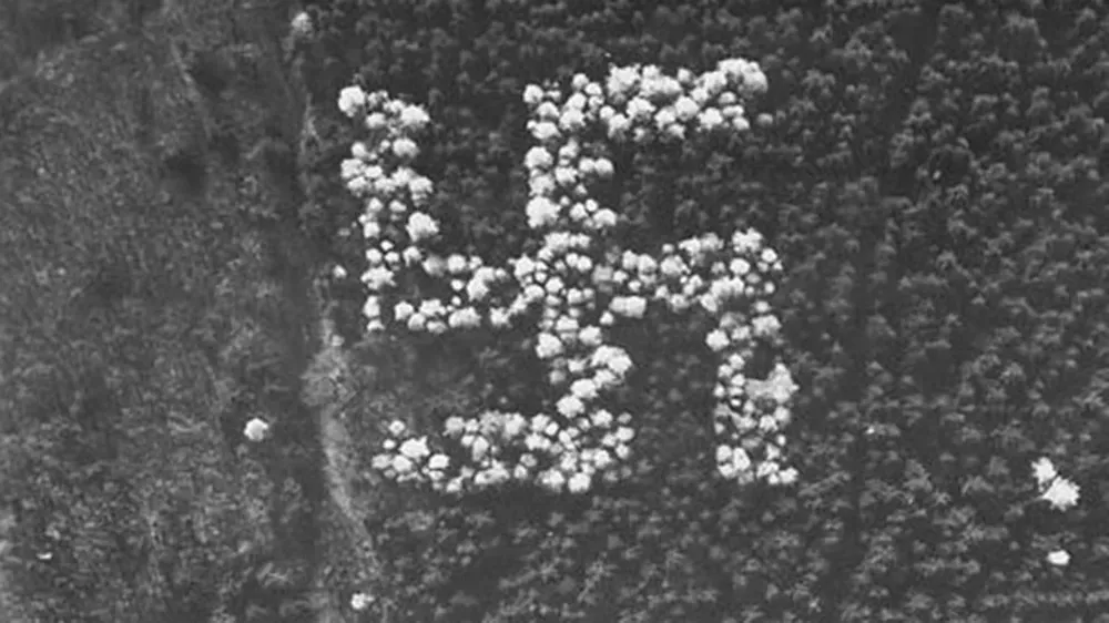 Una esvástica enorme formada por pinos y alerces que sólo podía ser vista desde el aire