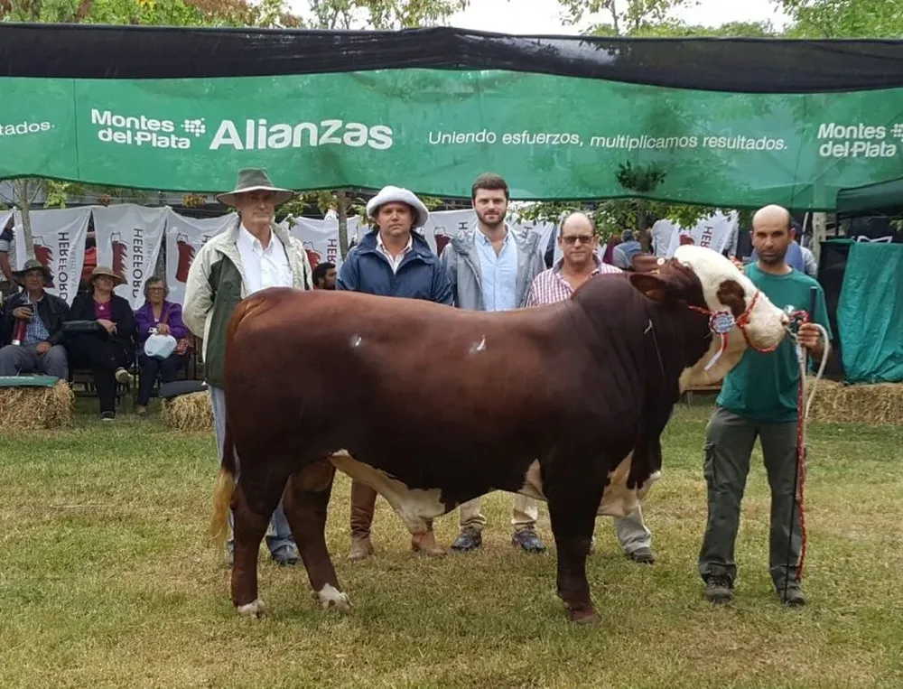 Gran Campeón Braford, de El Telégrafo