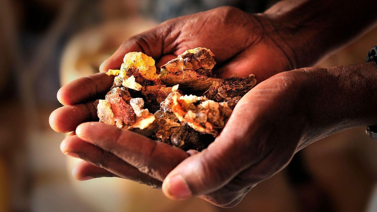 Imagen noticia completa