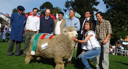 El Observador | 0000162225.webp